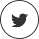 Twitter icon
